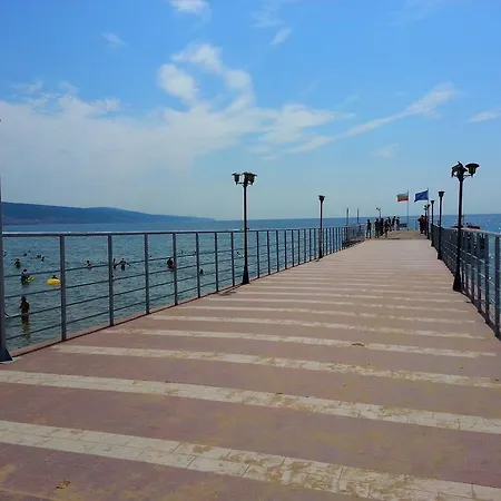 менада мидия