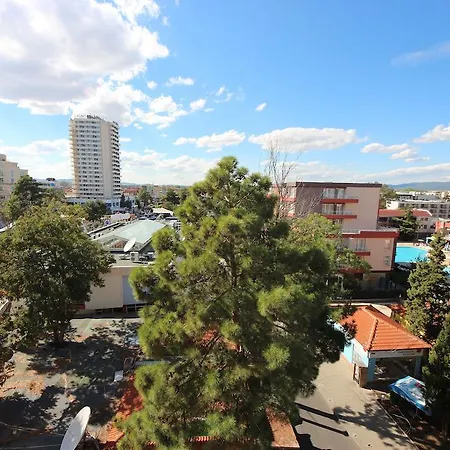 менада мидия